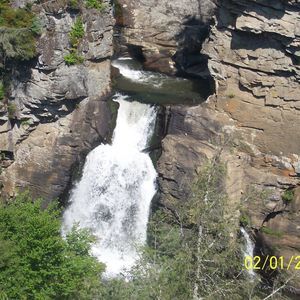 Meet your Posher, Shelly